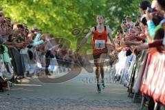 Halbmarathon Ingolstadt 2014 - Ziel (2) Zweiter Hagen Brosius