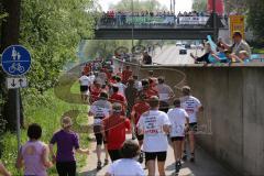 KidsRun und FitnessRun am Ingolstädter Halbmarathon 2014 - Klenzepark und Stadtmitte - Fitnesslauf entlang der Donau