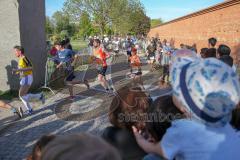 ODLO - Halbmarathon 2018 - Läufer auf der Strecke - Klenzepark - Foto: Jürgen Meyer