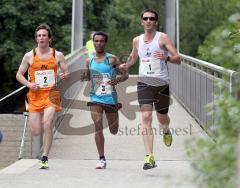 Halbmarathon Ingolstadt 2011 - von links, Heiko Middelhof, Gemechu Arasa und Christain Dirscherl auf der Fußgängerbrücke über die Westliche Ringstrasse