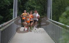 Halbmarathon Ingolstadt 2011 - Stephan Lamers