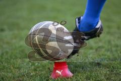 Rugby Ingolstadt Baboons - Saison 2013 - Impressionen Training