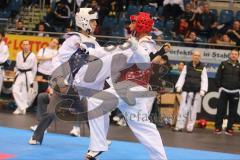 Deutsche Meisterschaft Taekwondo 2013 in Ingolstadt