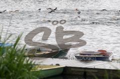 Triathlon Ingolstadt 2012 - Schwimmen im Baggersee