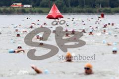 Triathlon Ingolstadt 2014 - Baggersee - Schwimmen kurz vor dem Ausstieg