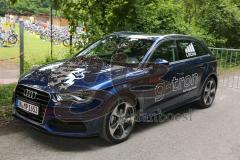Triathlon Ingolstadt 2014 - Baggersee - Audi g-tron, Führungsfahrzeug