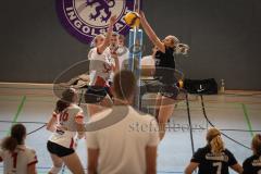 Bayernliga - Volleyball Frauen - Saison 2026/27 - MTV Ingolstadt - Niederviehbach  - Maul Alexia schwarz MTV Ing - Foto: Meyer Jürgen