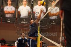 2023_11_25 - Landesliga - Saison 2023/24 - Volleyball - TV 1861 Ingolstadt - TSV Haunstetten -  - Merz Mathias #2 Ingolstadt - XXXXX - Foto: Meyer Jürgen