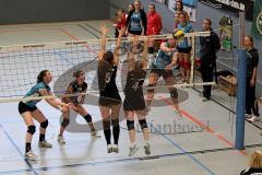 MTV Damen Volleyball - SV Germering - Fr. Wlassits (12) - Foto: Jürgen Meyer