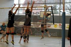 MTV Damen Volleyball - SV Germering - Fr. Wlassits (12) - Foto: Jürgen Meyer