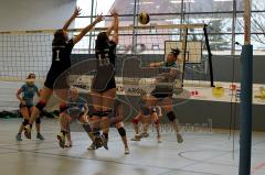 MTV Damen Volleyball - SV Germering - Fr. Wlassits (12) - Foto: Jürgen Meyer