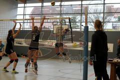 MTV Damen Volleyball - SV Germering - Fr. Wlassits (12) - Foto: Jürgen Meyer