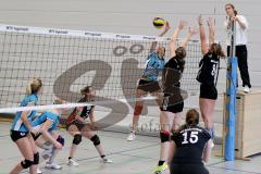 MTV Damen Volleyball - SV Germering - Fronzke Franziska (11) - Foto: Jürgen Meyer