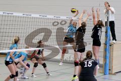 MTV Damen Volleyball - SV Germering - Fronzke Franziska (11) - Foto: Jürgen Meyer