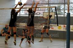 MTV Damen Volleyball - SV Germering - Fr. Wlassits (12) - Foto: Jürgen Meyer