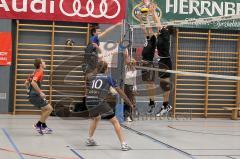 Volleyball MTV Ingolstadt gegen VFR Garching - Jakob Pfältzer (11 MTV) - Foto: Jürgen Meyer